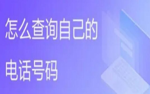 本机手机号码如何查询? 这五种轻松查询的方法一定要学会 本机手机号码如何查询? 这五种轻松查询的方法一定要学会